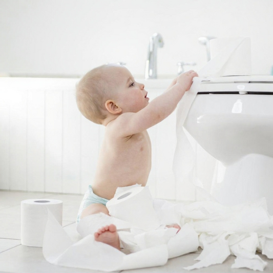Apprentissage de la propreté - Les 5 erreurs les plus courantes à éviter